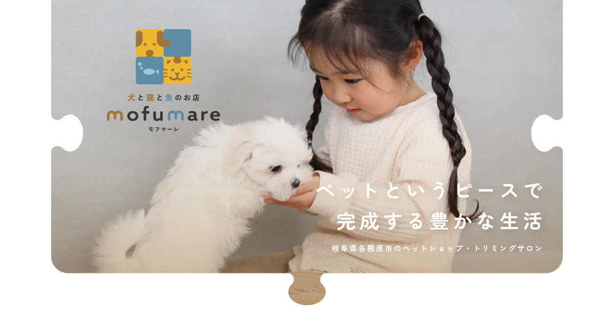 株式会社エーピーエヌ