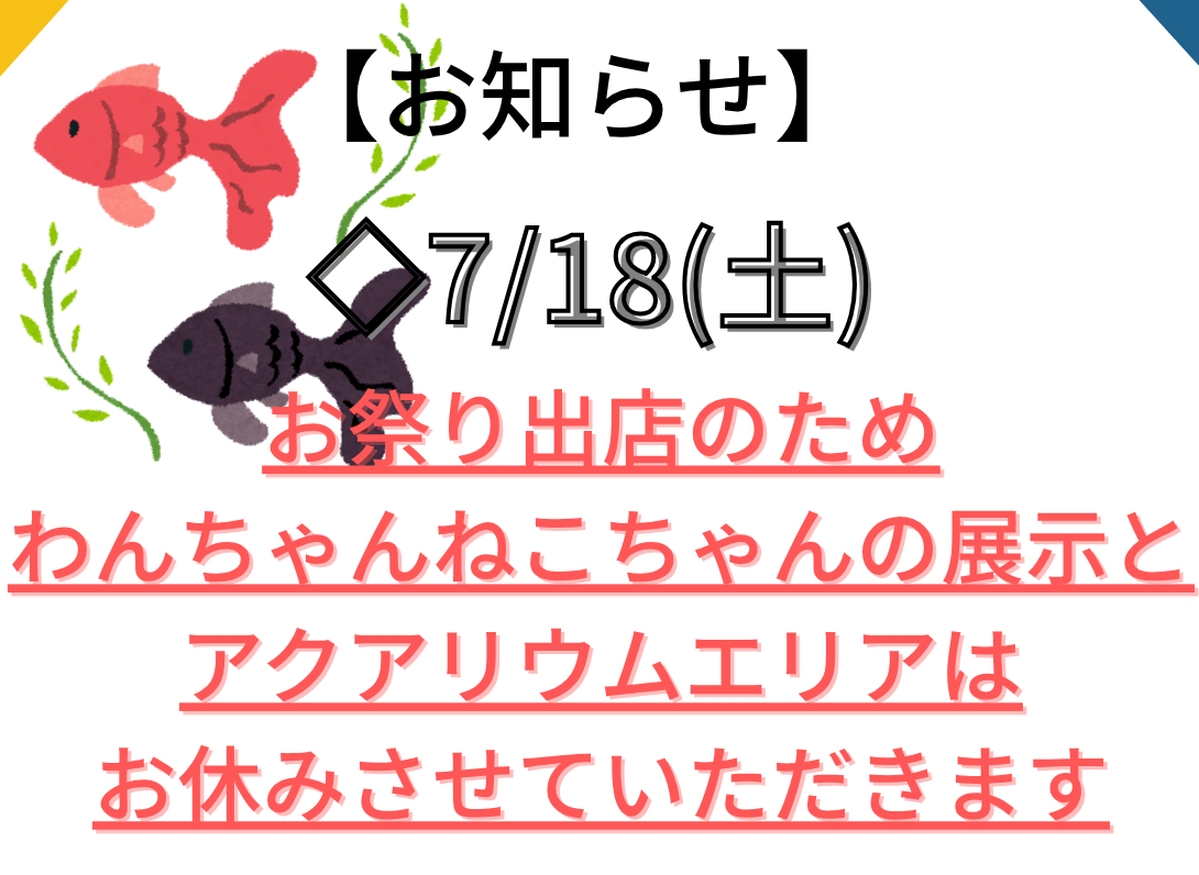 イベント案内